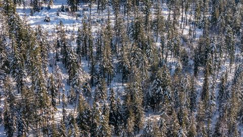 Tiny photo for 165 Woodland Star Circle, Whitefish, MT 59937 (MLS # 30038966)