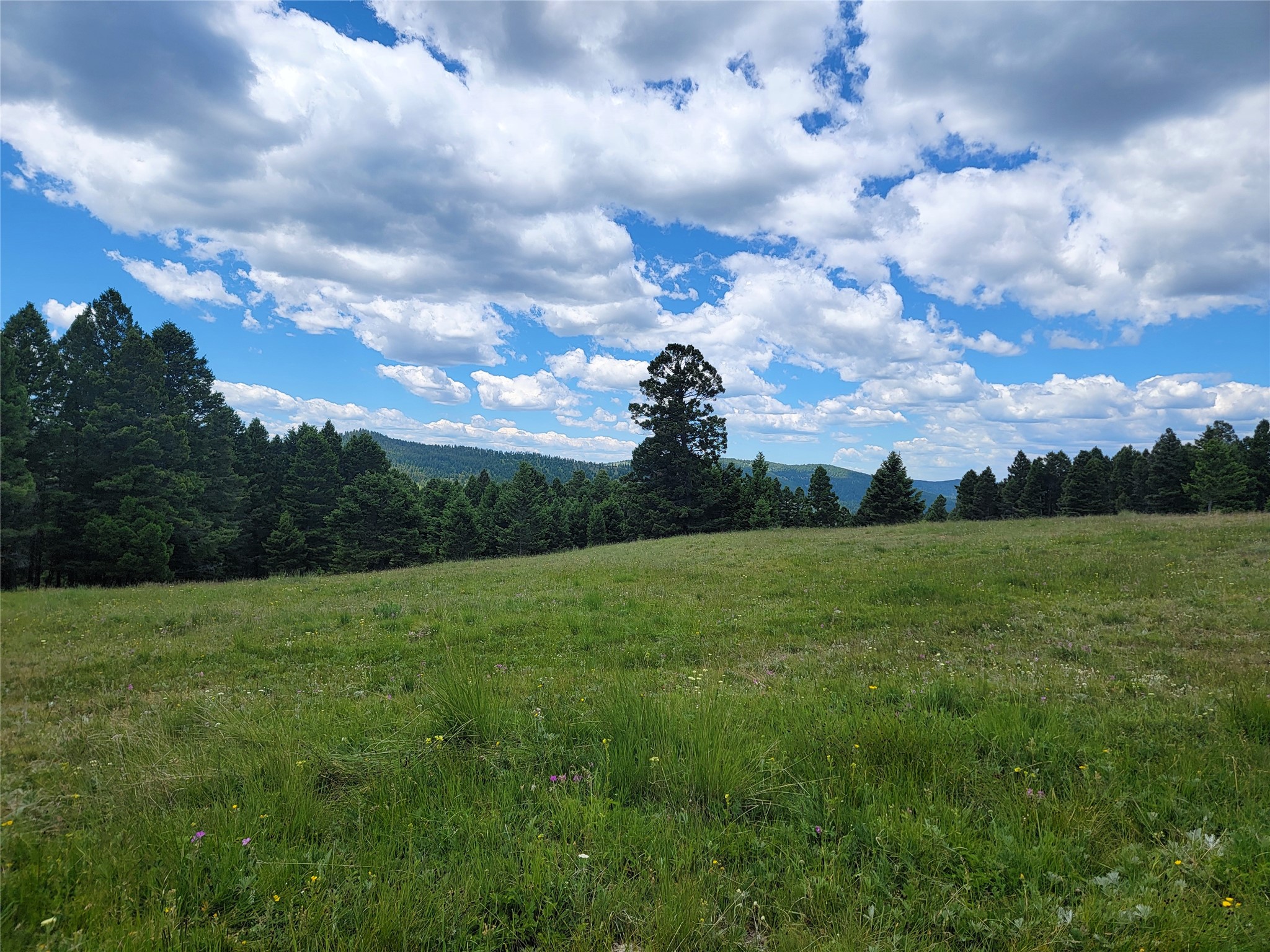 Lot 83 Hoover Creek Road