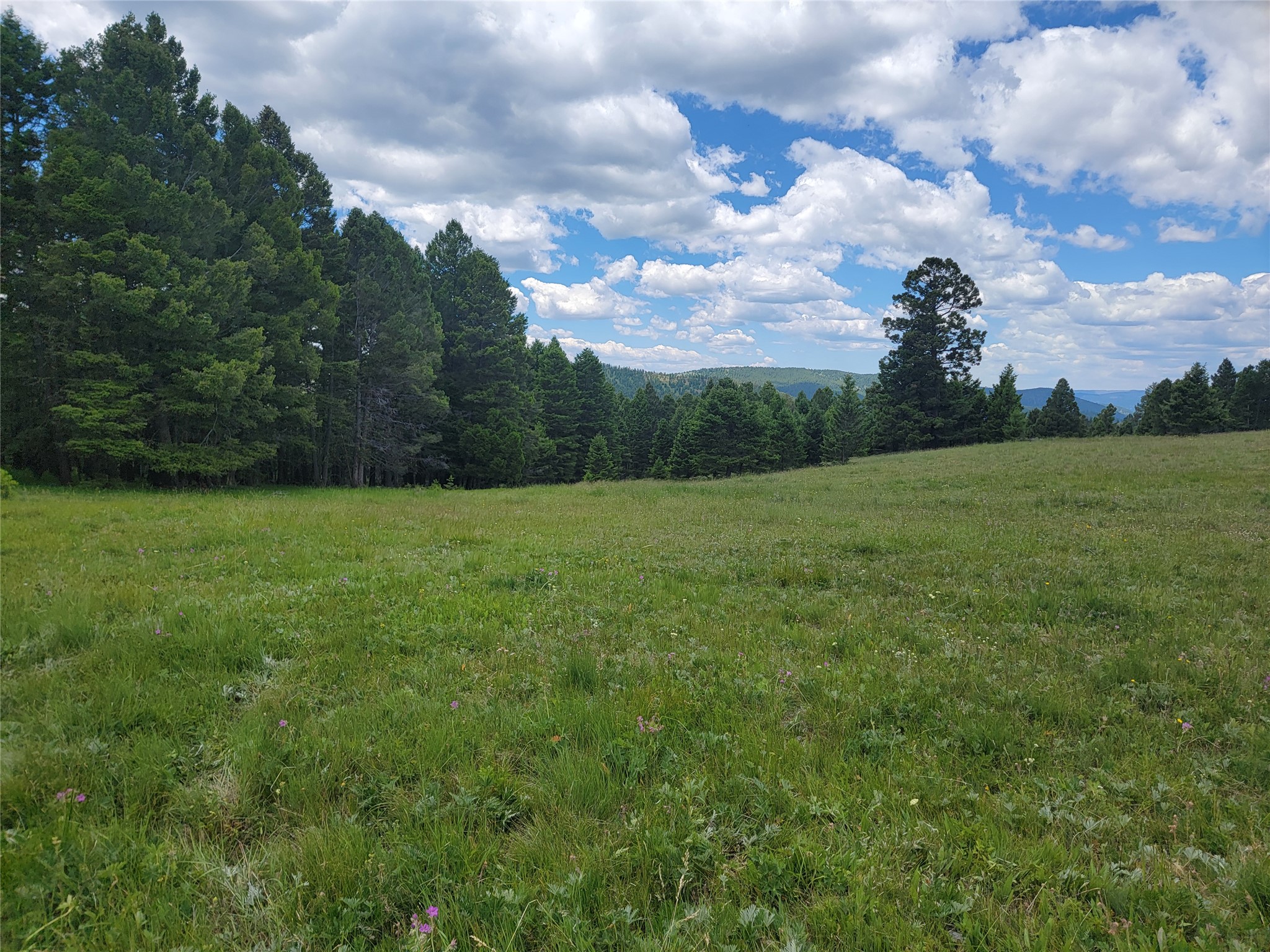 Lot 83 Hoover Creek Road