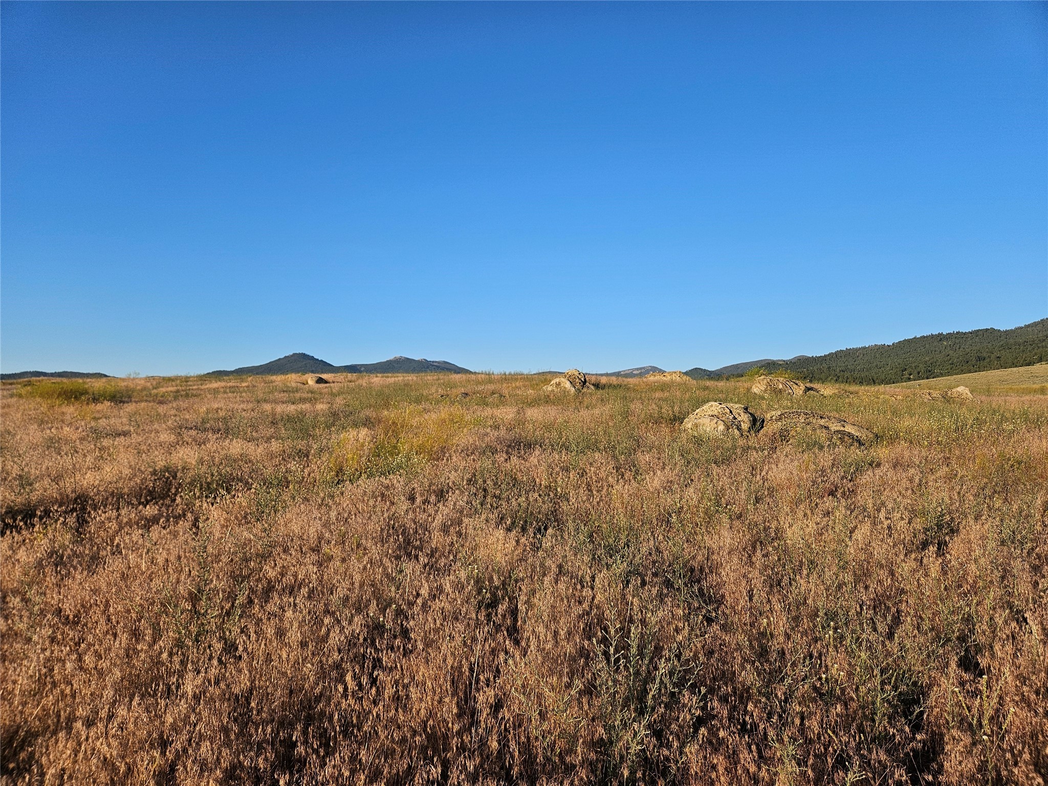 Corvallis, Montana 59828, United States, ,Land,Active,52880