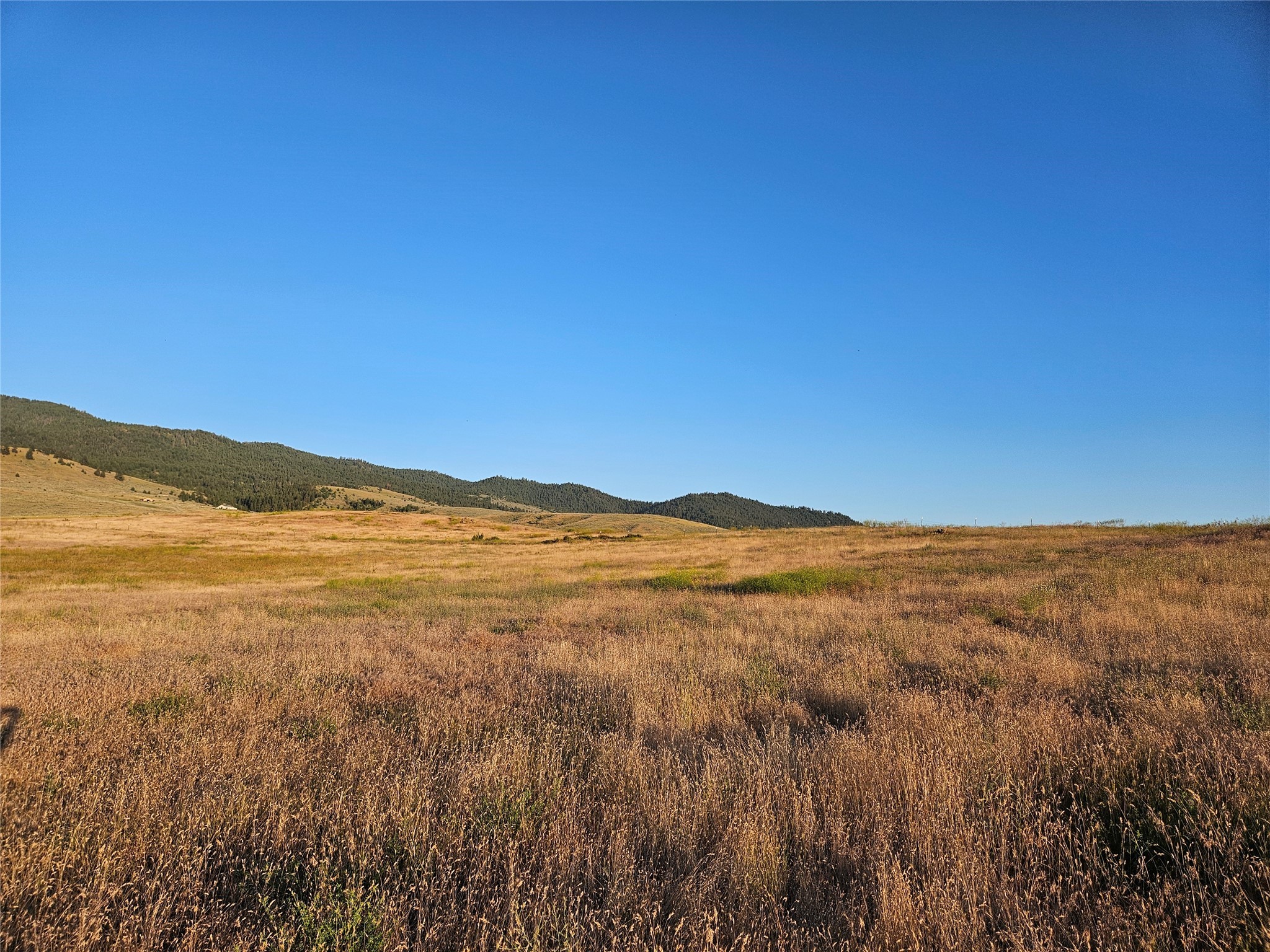 Corvallis, Montana 59828, United States, ,Land,Active,52880
