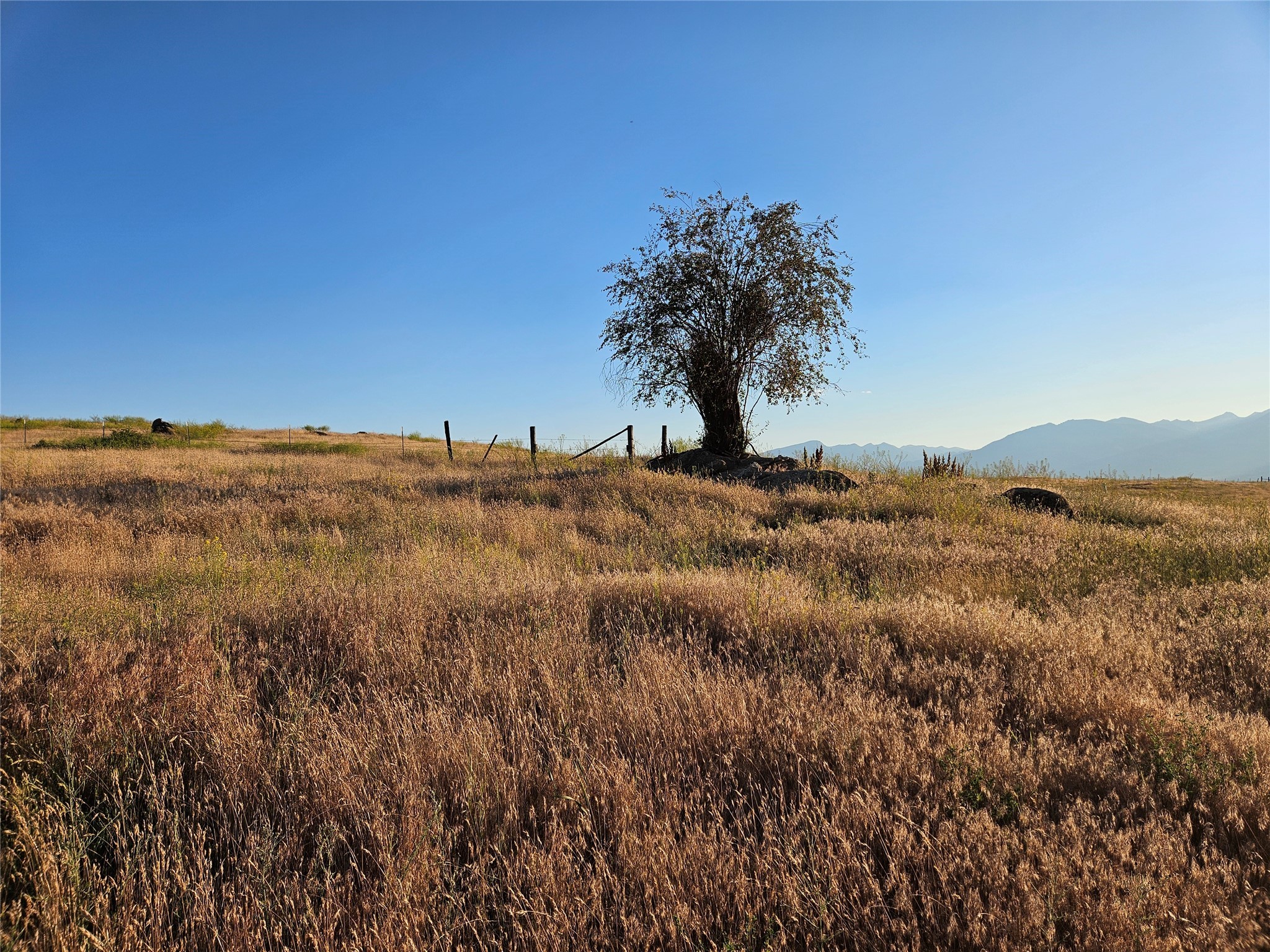 Corvallis, Montana 59828, United States, ,Land,Active,52880