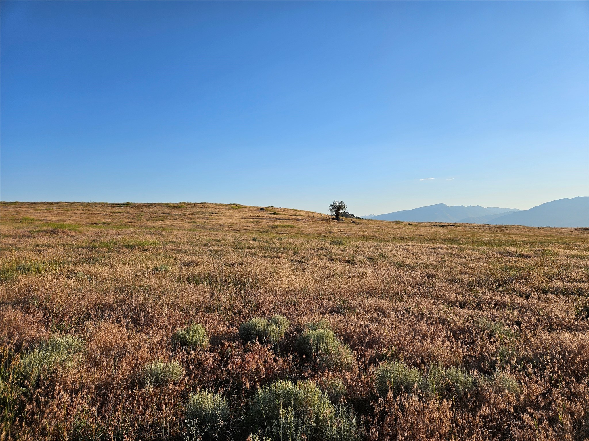 Corvallis, Montana 59828, United States, ,Land,Active,52880