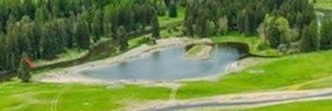 Tiny photo for 292 River Ranch Road, Whitefish, MT 59937 (MLS # 30043796)