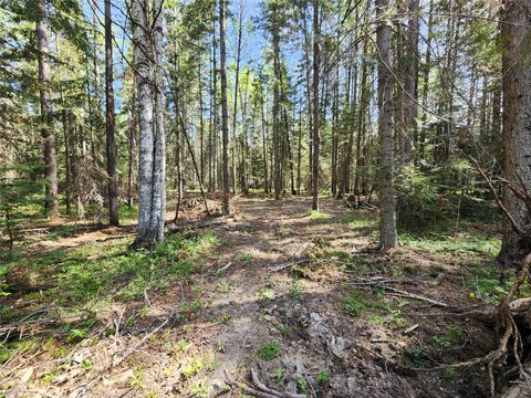 Tiny photo for 1365 MT Highway 209, Bigfork, MT 59911 (MLS # 30070903)