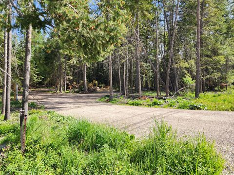 Tiny photo for 1365 MT Highway 209, Bigfork, MT 59911 (MLS # 30070903)