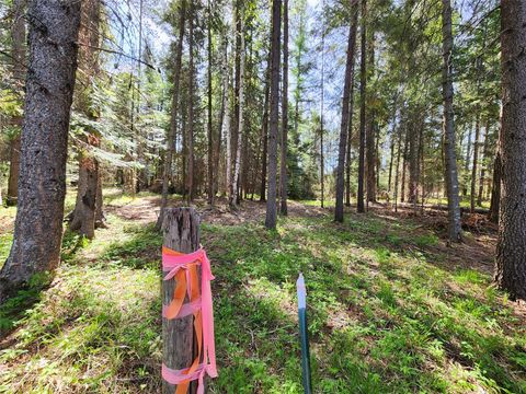 Tiny photo for 1365 MT Highway 209, Bigfork, MT 59911 (MLS # 30070903)