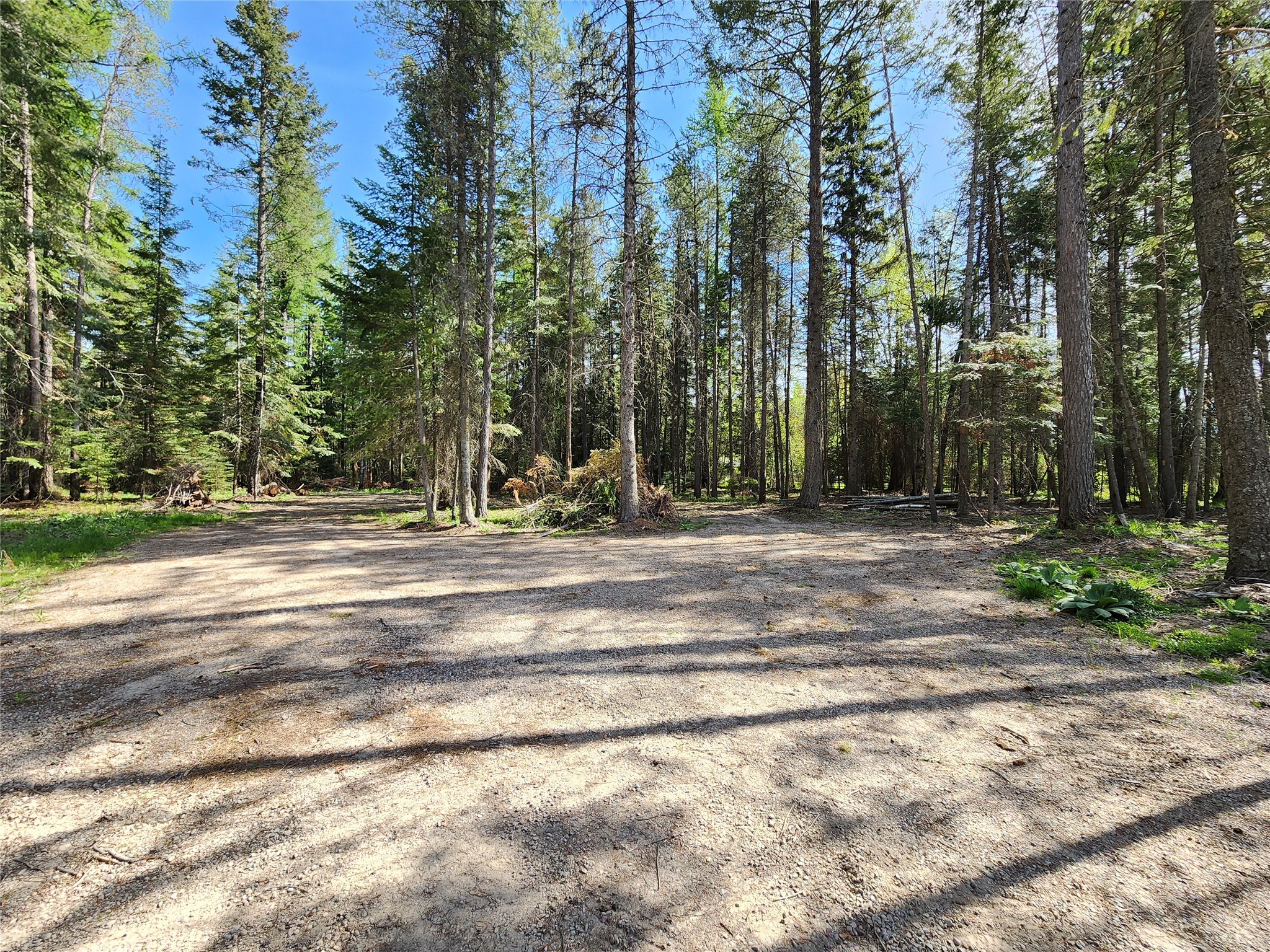 1365 MT Highway 209