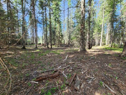 Tiny photo for 1365 MT Highway 209, Bigfork, MT 59911 (MLS # 30070903)