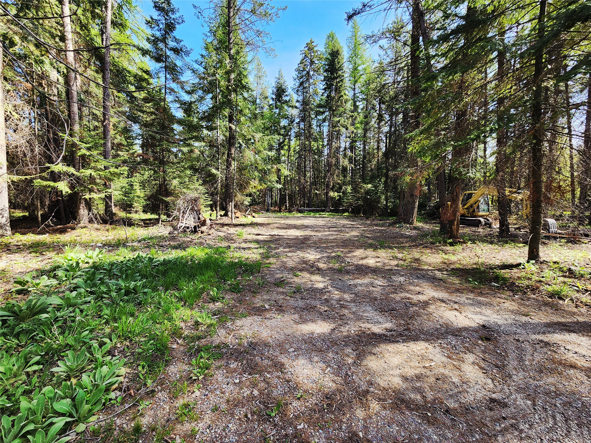 1365 MT Highway 209