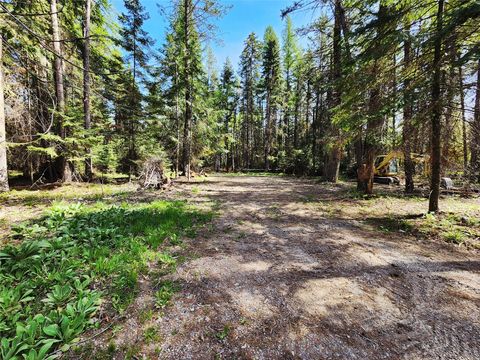 Tiny photo for 1365 MT Highway 209, Bigfork, MT 59911 (MLS # 30070903)