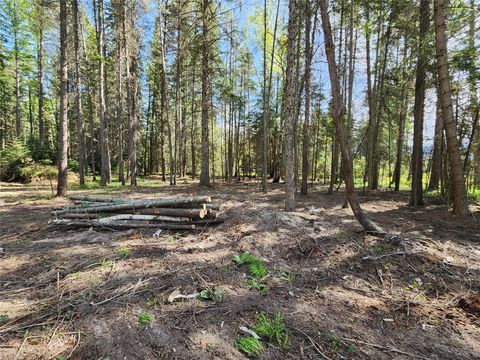 Tiny photo for 1365 MT Highway 209, Bigfork, MT 59911 (MLS # 30070903)