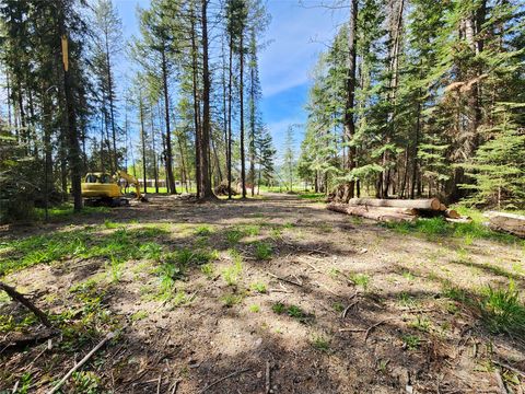 Tiny photo for 1365 MT Highway 209, Bigfork, MT 59911 (MLS # 30070903)