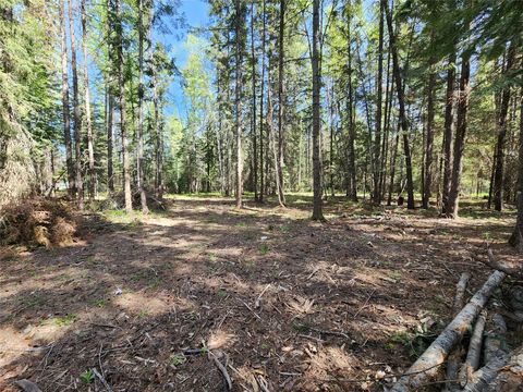 Tiny photo for 1365 MT Highway 209, Bigfork, MT 59911 (MLS # 30070903)
