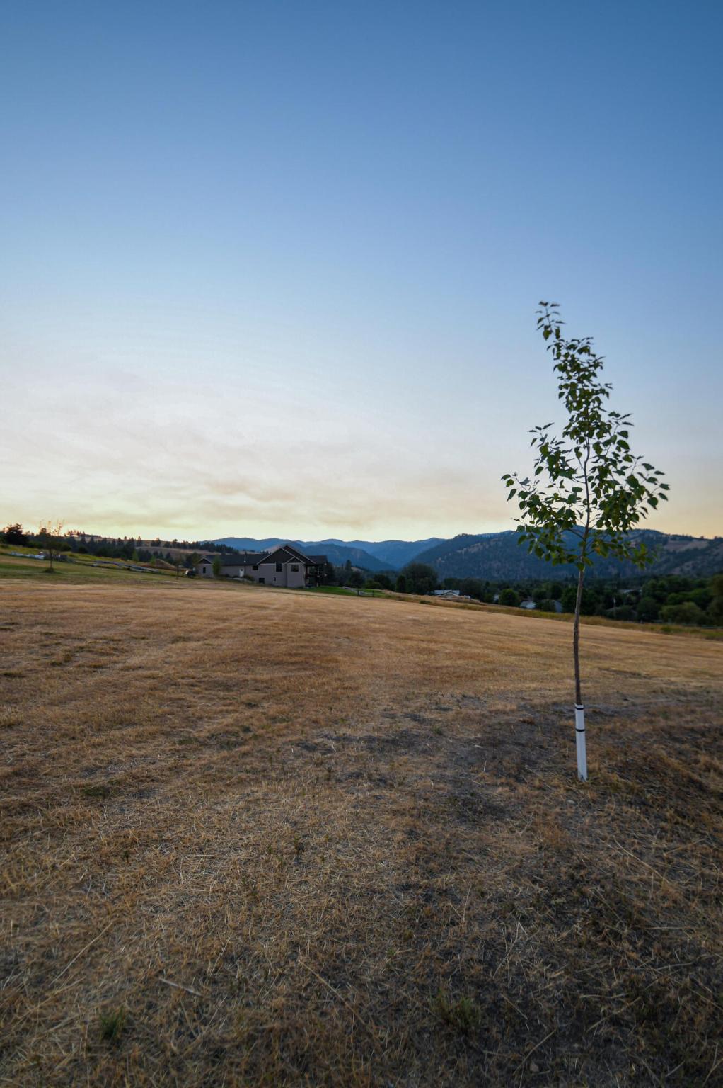 Lolo, Montana 59847, United States, ,Land,Active,149437