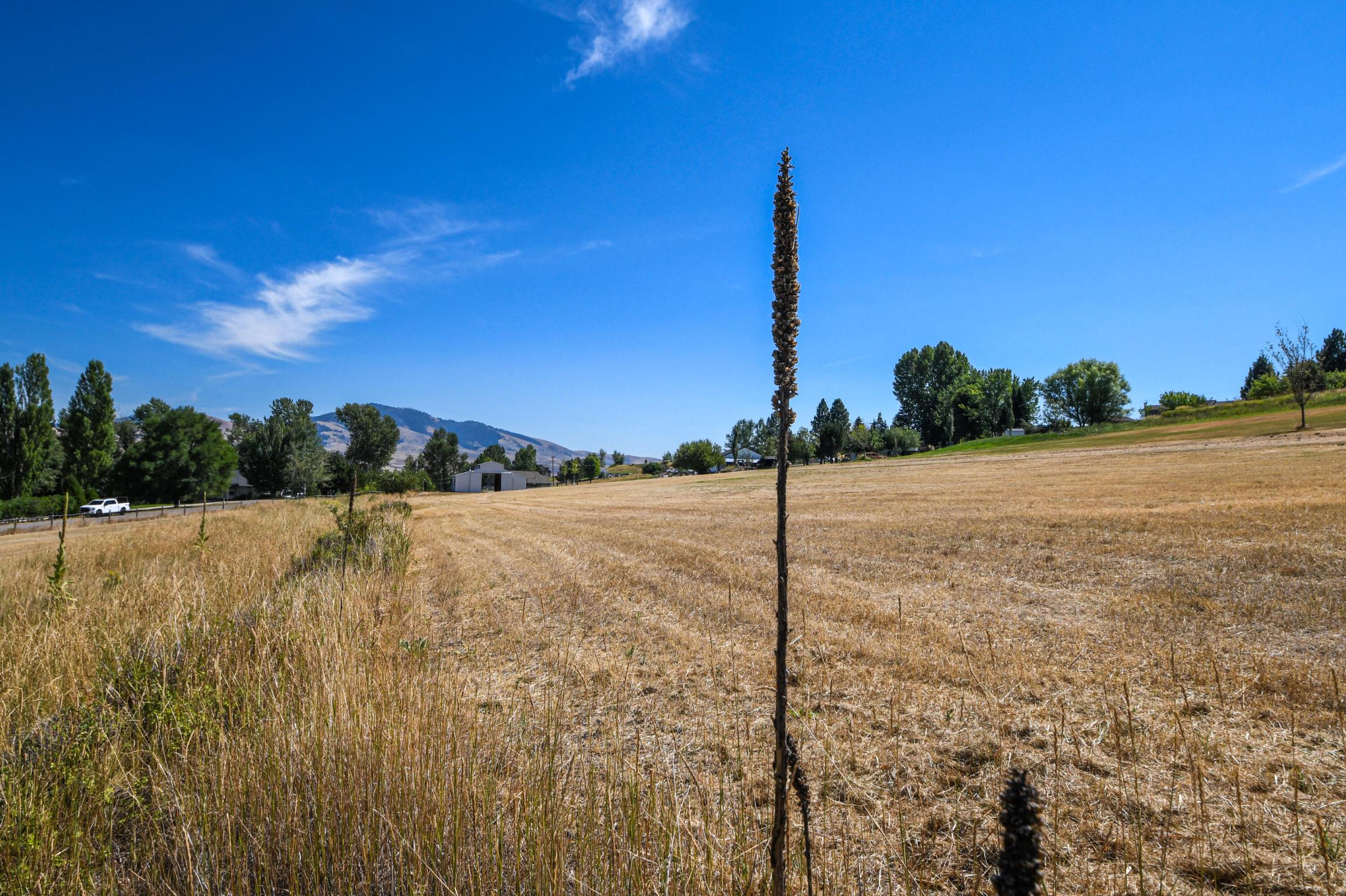 Lolo, Montana 59847, United States, ,Land,Active,149437