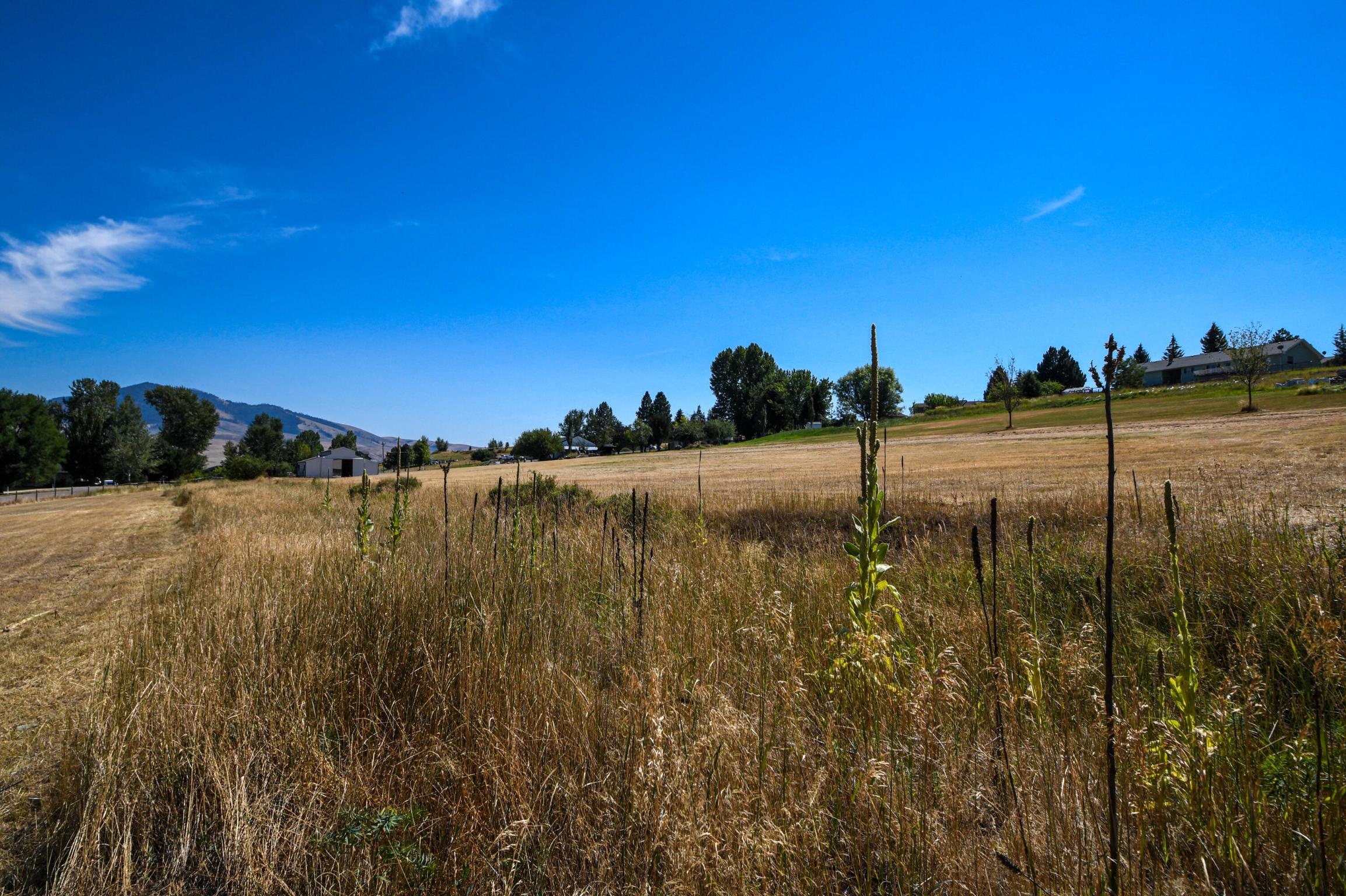 Lolo, Montana 59847, United States, ,Land,Active,149437