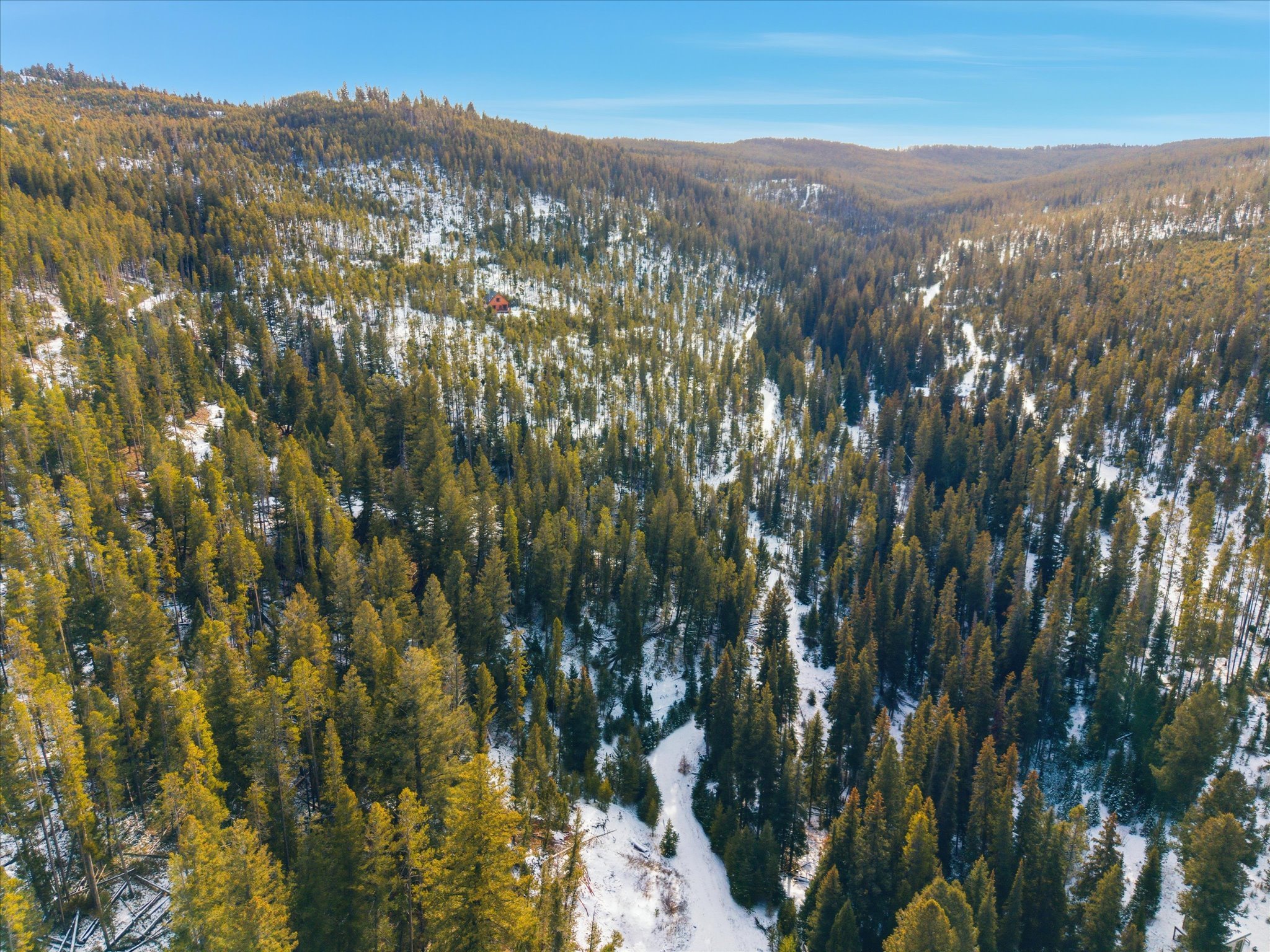 Lot 3 Georgetown Lake Estates