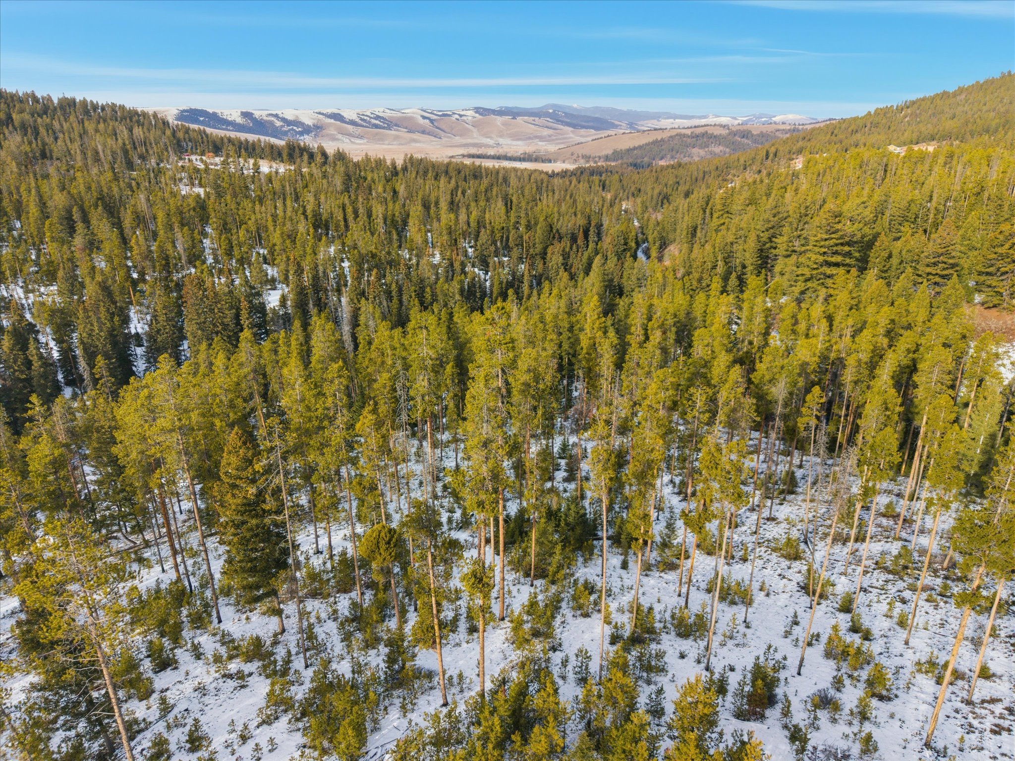 Lot 3 Georgetown Lake Estates