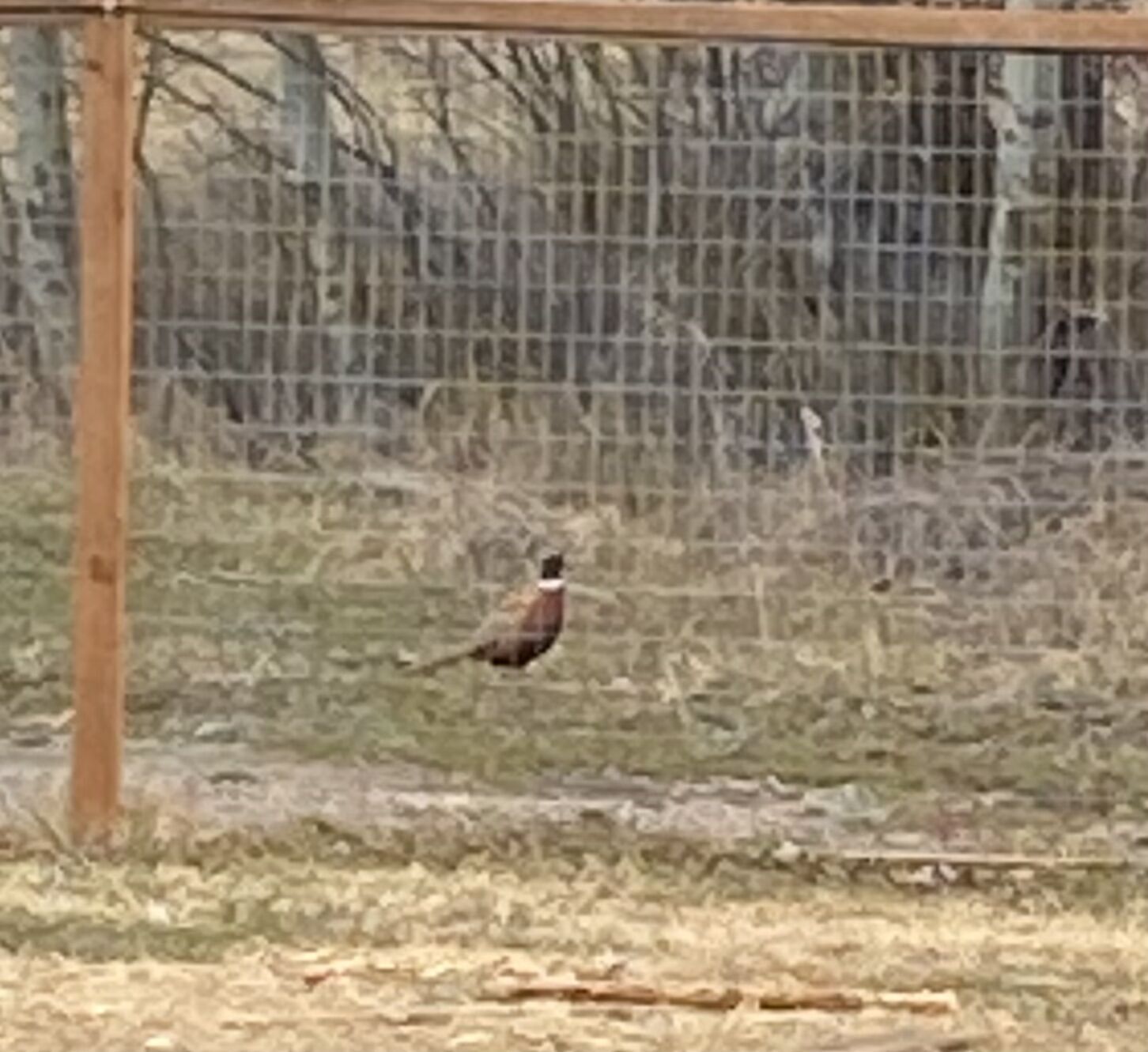 5 Park Avenue Lot 19 & 20