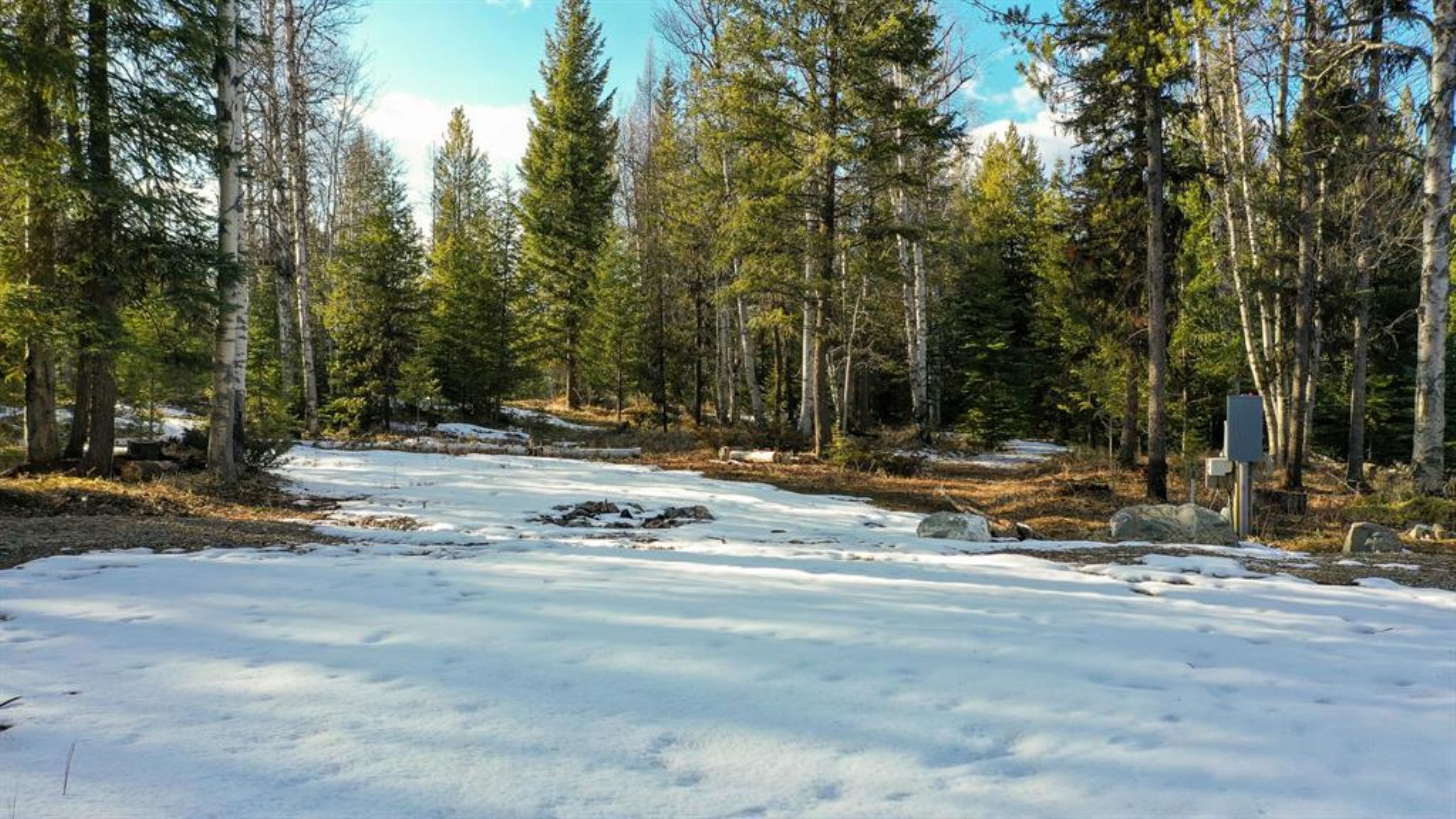 29 Roaming Elk Trail