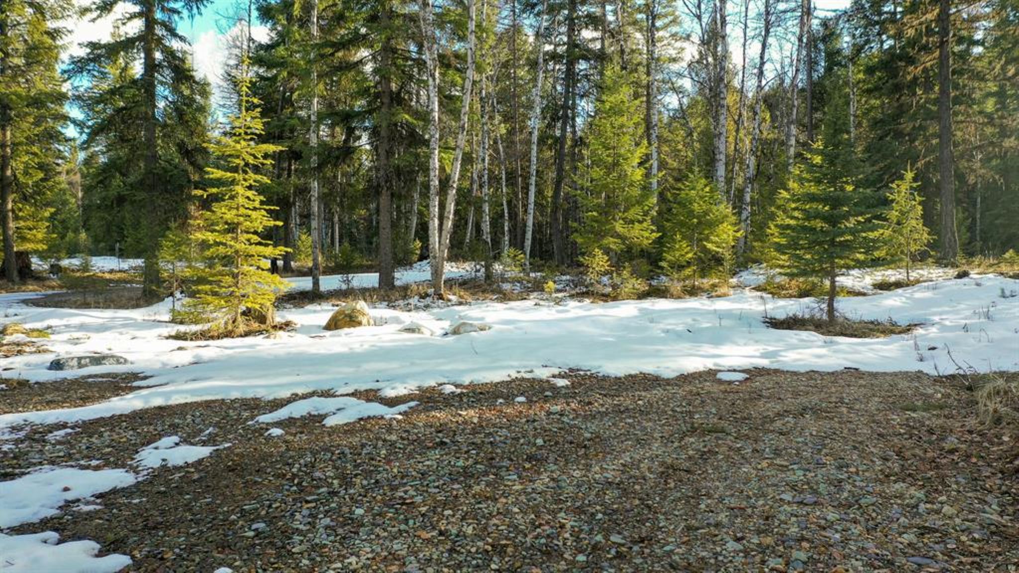 29 Roaming Elk Trail