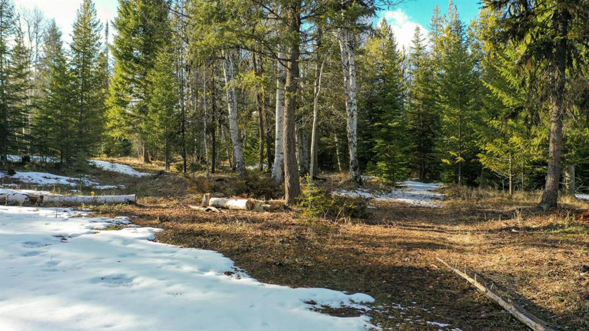 29 Roaming Elk Trail