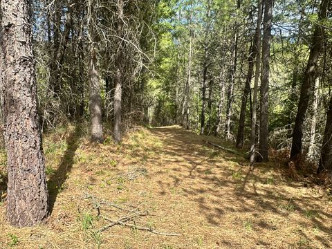 Tiny photo for 3349 MT Hwy 200, Trout Creek, MT 59874 (MLS # 30068418)