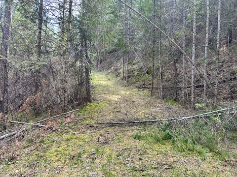 Tiny photo for 3349 MT Hwy 200, Trout Creek, MT 59874 (MLS # 30068418)