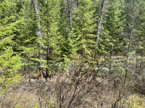 Tiny photo for 3349 MT Hwy 200, Trout Creek, MT 59874 (MLS # 30068418)