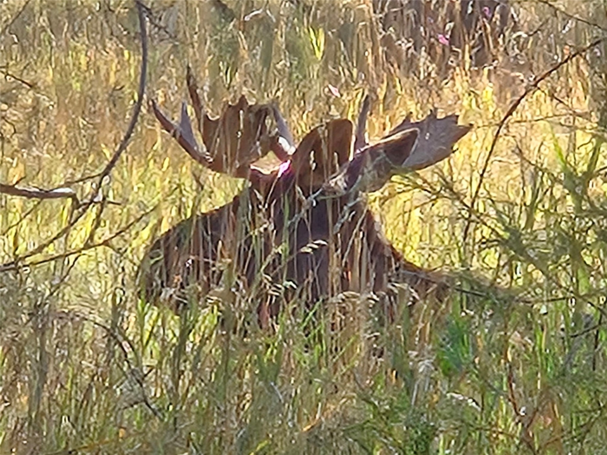 Lot 32-A Drovers Trail