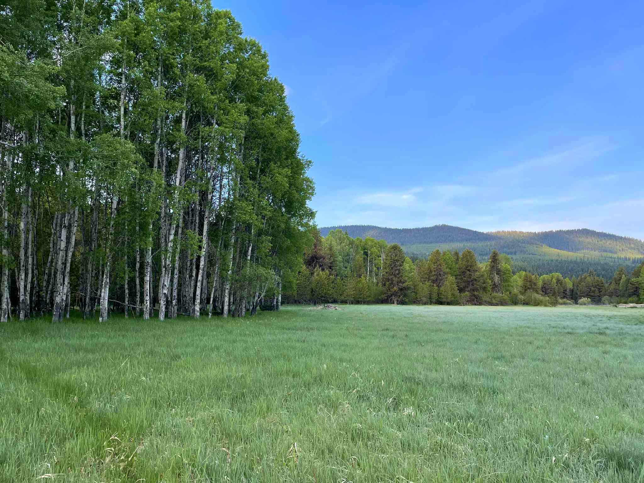 27687 Yaak River Road