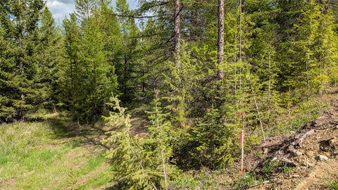 Tiny photo for 161 Bernard Creek Road, Kila, MT 59920 (MLS # 30072456)