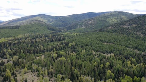 Tiny photo for 161 Bernard Creek Road, Kila, MT 59920 (MLS # 30072456)