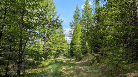 Tiny photo for 161 Bernard Creek Road, Kila, MT 59920 (MLS # 30072456)
