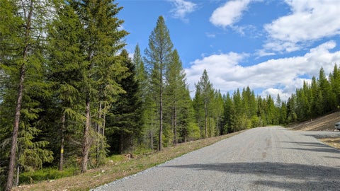 Tiny photo for 161 Bernard Creek Road, Kila, MT 59920 (MLS # 30072456)