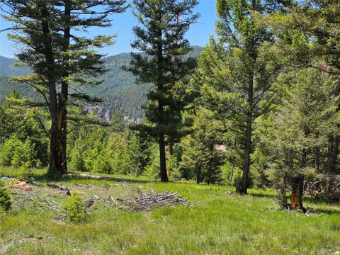 Photo of 202 Packer Gulch, Drummond, MT 59832 (MLS # 30074724)