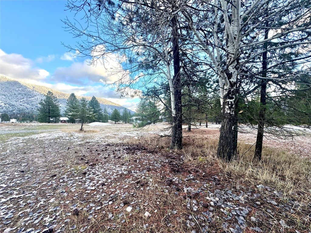 Photo of 10 Timber Lane, Trout Creek, MT 59874 (MLS # 30068883)