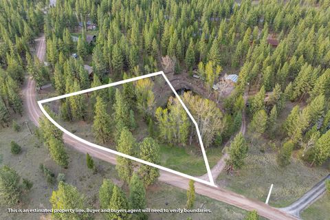 322 Rainbow Court Seeley Lake MT 59868