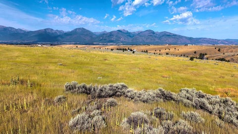 Tiny photo for Lot 53 Willy Way, Stevensville, MT 59870 (MLS # 30077166)