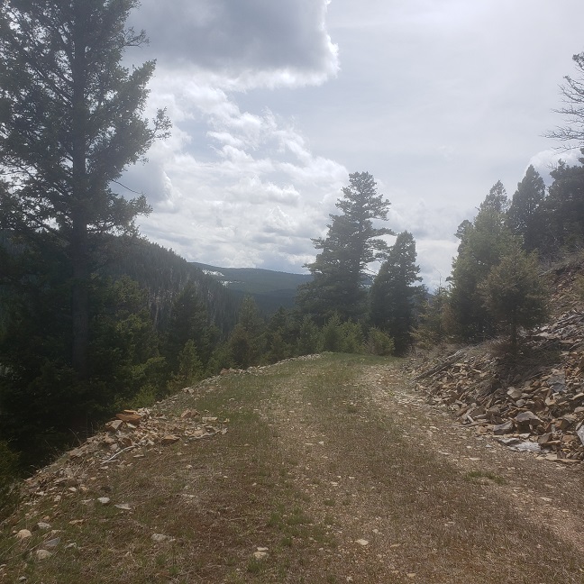 NHN Wyman Gulch Road