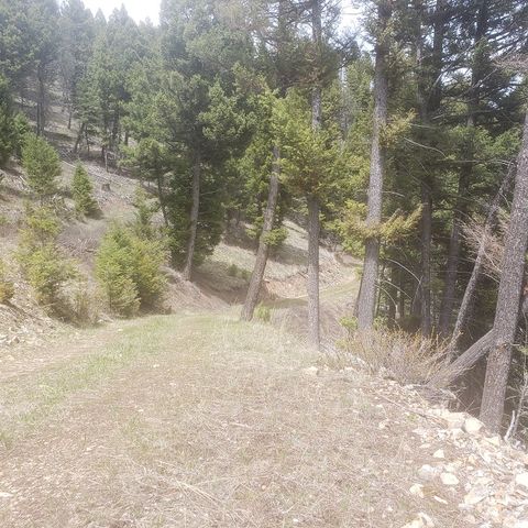 NHN Wyman Gulch Road Philipsburg MT 59858