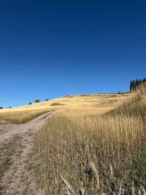 Photo of 35716 S Hills Drive, Polson, MT 59860 (MLS # 30080002)