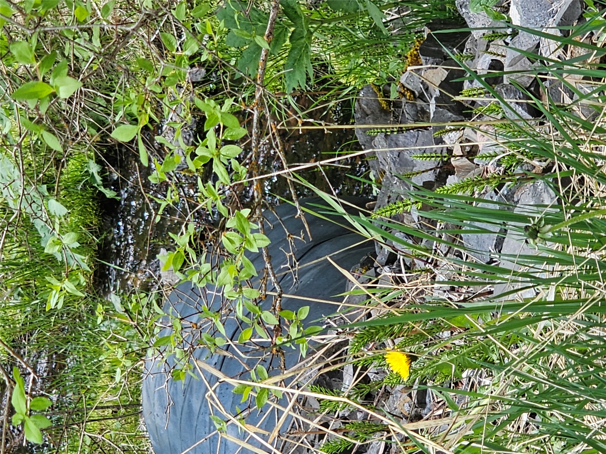 18866 Copper Ridge Trail