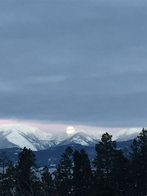 Tiny photo for 52441 Lake Mary Ronan Road #Dayton MT 59914, Proctor, MT 59929 (MLS # 30071528)