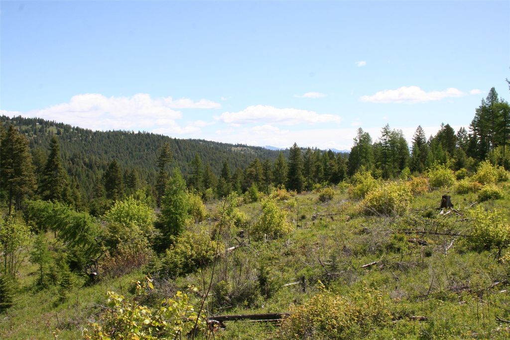 Photo of 1450 Kienas Road, Kalispell, MT 59901 (MLS # 30069167)