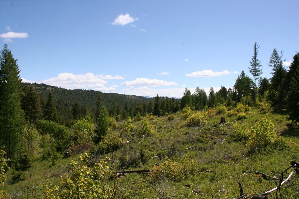 Photo of 1450 Kienas Road, Kalispell, MT 59901 (MLS # 30069167)