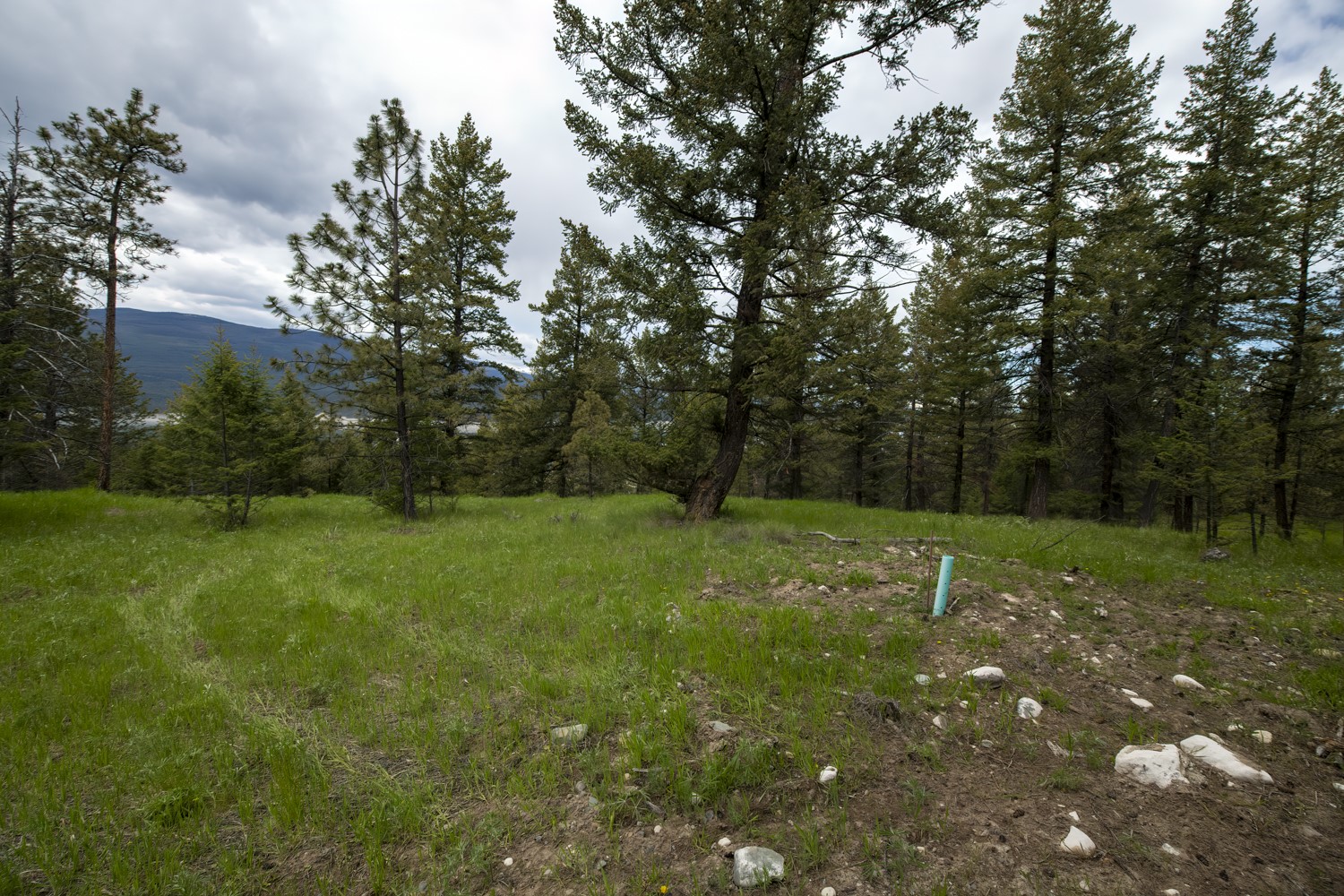 Lot 3 Elk View