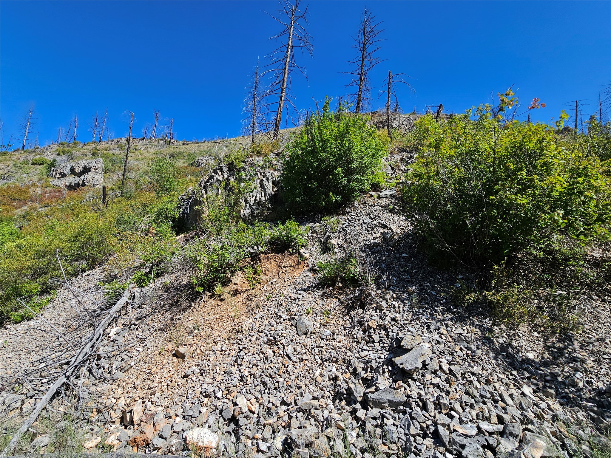 80 Upper Packer Gulch Road