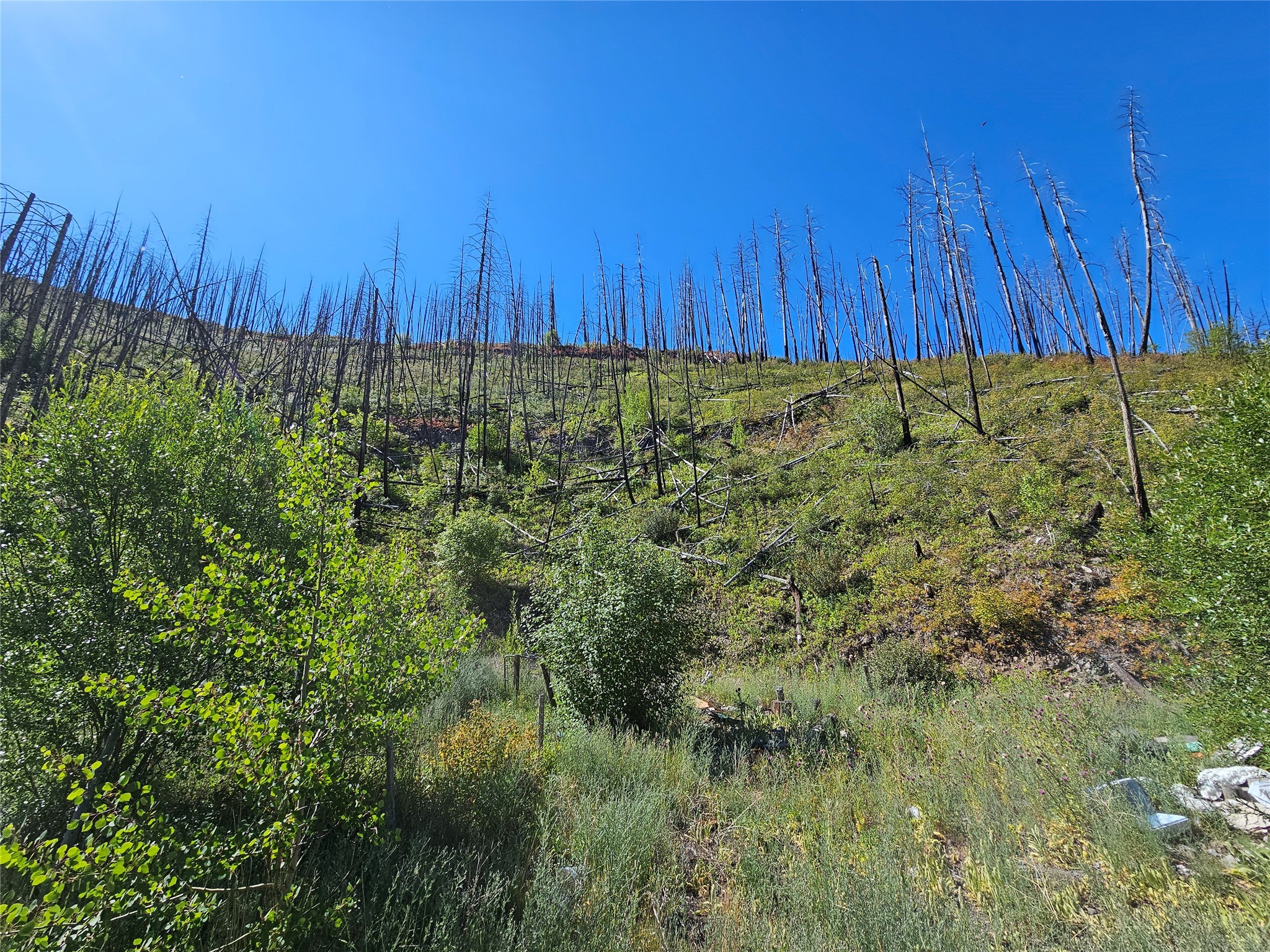 80 Upper Packer Gulch Road